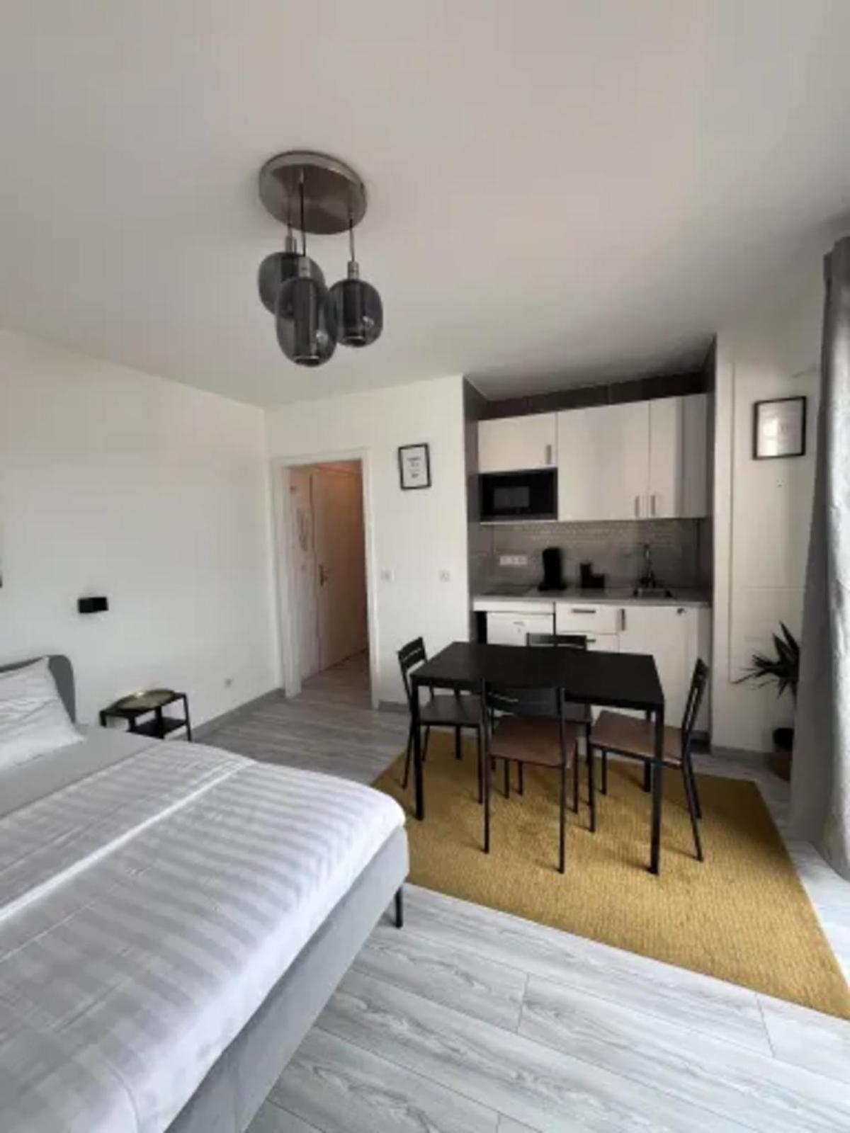Cosy Rent Strasbourg Wifi Terrasse St Aloise Villa Buitenkant foto